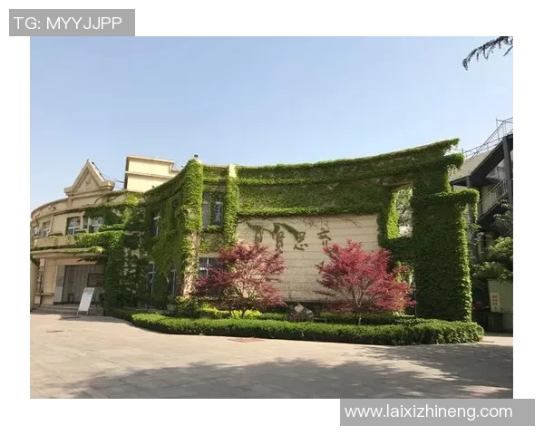 梅西的足球哲学与人生智慧：激励你我前行的经典语录分享